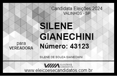 Candidato SILENE GIANECHINI 2024 - VALINHOS - Eleições