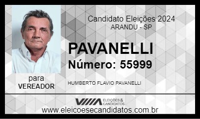 Candidato PAVANELLI 2024 - ARANDU - Eleições