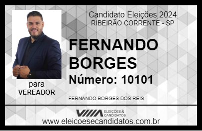 Candidato FERNANDO BORGES 2024 - RIBEIRÃO CORRENTE - Eleições