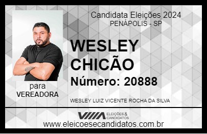 Candidato WESLEY CHICÃO 2024 - PENÁPOLIS - Eleições