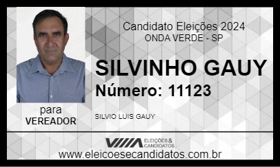 Candidato SILVINHO GAUY 2024 - ONDA VERDE - Eleições