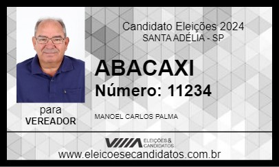 Candidato ABACAXI 2024 - SANTA ADÉLIA - Eleições