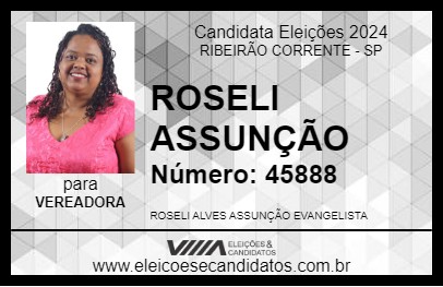 Candidato ROSELI ASSUNÇÃO 2024 - RIBEIRÃO CORRENTE - Eleições