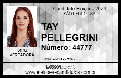 Candidato TAY PELLEGRINI 2024 - SÃO PEDRO - Eleições