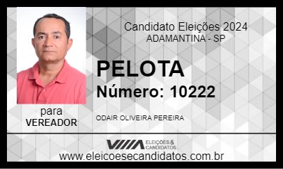 Candidato PELOTA 2024 - ADAMANTINA - Eleições