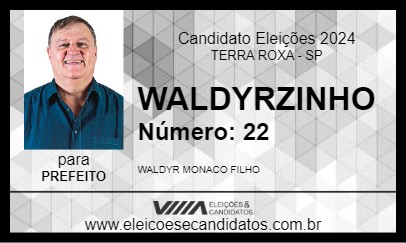 Candidato WALDYRZINHO 2024 - TERRA ROXA - Eleições