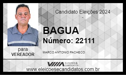 Candidato BAGUA 2024 - TERRA ROXA - Eleições