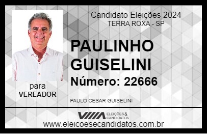 Candidato PAULINHO GUISELINI 2024 - TERRA ROXA - Eleições