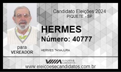 Candidato HERMES 2024 - PIQUETE - Eleições