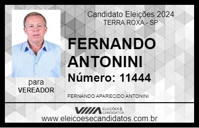 Candidato FERNANDO ANTONINI 2024 - TERRA ROXA - Eleições