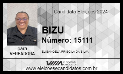 Candidato BIZU 2024 - AMÉRICO BRASILIENSE - Eleições