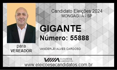 Candidato GIGANTE 2024 - MONGAGUÁ - Eleições