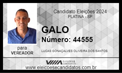 Candidato GALO 2024 - PLATINA - Eleições