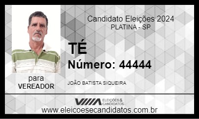 Candidato TÉ 2024 - PLATINA - Eleições