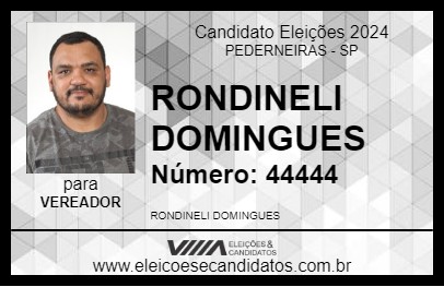 Candidato RONDINELI DOMINGUES 2024 - PEDERNEIRAS - Eleições