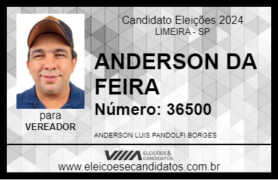 Candidato ANDERSON DA FEIRA 2024 - LIMEIRA - Eleições