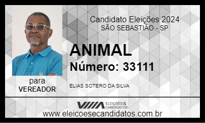 Candidato ANIMAL 2024 - SÃO SEBASTIÃO - Eleições