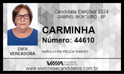 Candidato CARMINHA 2024 - GABRIEL MONTEIRO - Eleições