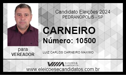 Candidato CARNEIRO 2024 - PEDRANÓPOLIS - Eleições