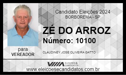 Candidato ZÉ DO ARROZ 2024 - BORBOREMA - Eleições