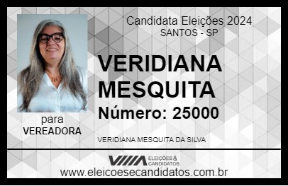 Candidato VERIDIANA MESQUITA 2024 - SANTOS - Eleições