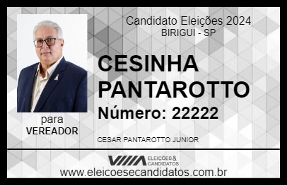 Candidato CESINHA PANTAROTTO 2024 - BIRIGUI - Eleições