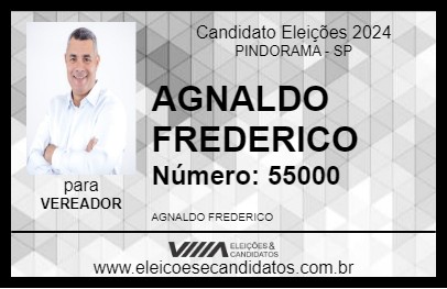 Candidato AGNALDO FREDERICO 2024 - PINDORAMA - Eleições