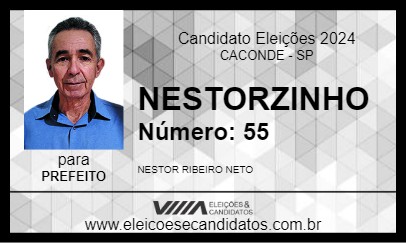 Candidato NESTORZINHO 2024 - CACONDE - Eleições