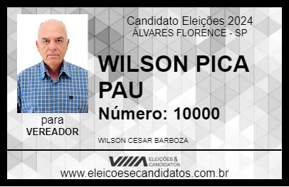 Candidato WILSON PICA PAU 2024 - ÁLVARES FLORENCE - Eleições