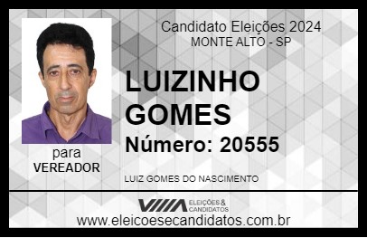 Candidato LUIZINHO GOMES 2024 - MONTE ALTO - Eleições