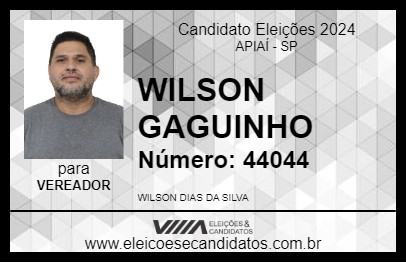 Candidato WILSON GAGUINHO 2024 - APIAÍ - Eleições