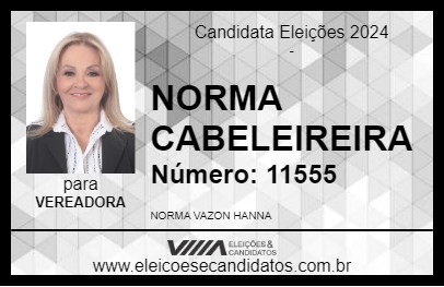 Candidato NORMA CABELEIREIRA 2024 - PRESIDENTE BERNARDES - Eleições