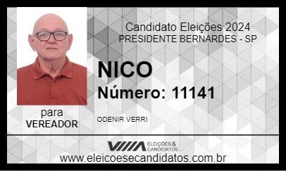 Candidato NICO DO BAR 2024 - PRESIDENTE BERNARDES - Eleições