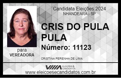 Candidato CRIS DO PULA PULA 2024 - NHANDEARA - Eleições