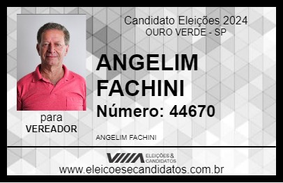 Candidato ANGELIM FACHINI 2024 - OURO VERDE - Eleições