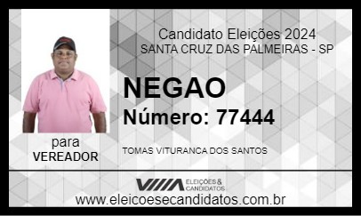 Candidato NEGAO 2024 - SANTA CRUZ DAS PALMEIRAS - Eleições