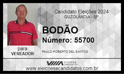 Candidato BODÃO 2024 - GUZOLÂNDIA - Eleições