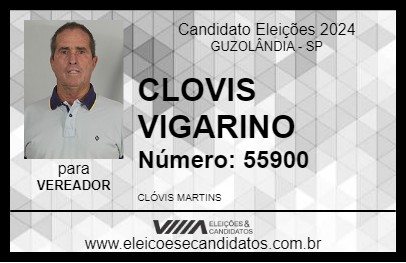 Candidato CLOVIS VIGARINO 2024 - GUZOLÂNDIA - Eleições