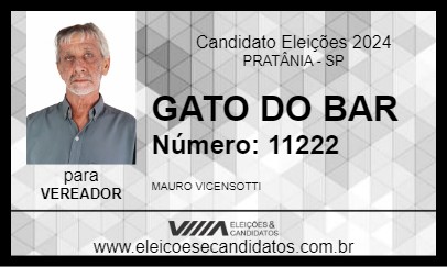 Candidato GATO DO BAR 2024 - PRATÂNIA - Eleições