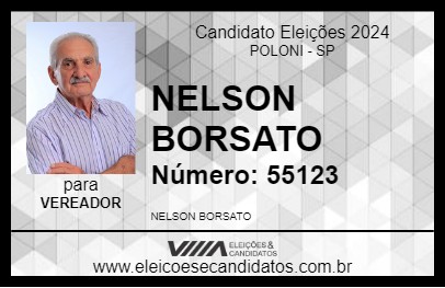 Candidato NELSON BORSATO 2024 - POLONI - Eleições