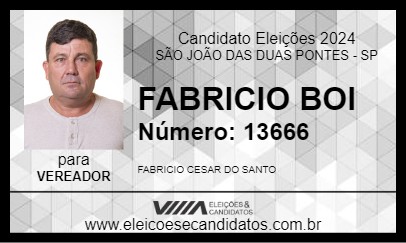 Candidato FABRICIO BOI 2024 - SÃO JOÃO DAS DUAS PONTES - Eleições