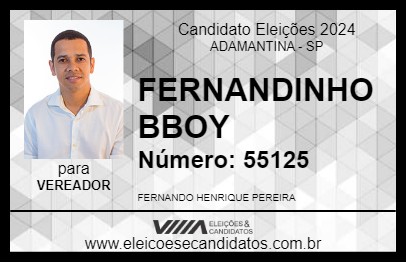 Candidato FERNANDINHO BBOY 2024 - ADAMANTINA - Eleições