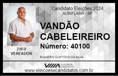 Candidato VANDÃO CABELEIREIRO 2024 - AURIFLAMA - Eleições