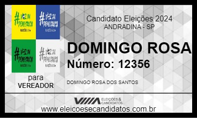 Candidato DOMINGO ROSA 2024 - ANDRADINA - Eleições