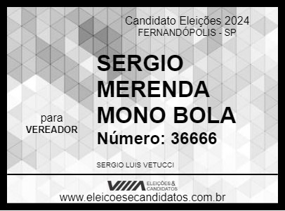 Candidato SERGIO MERENDA MONO BOLA 2024 - FERNANDÓPOLIS - Eleições