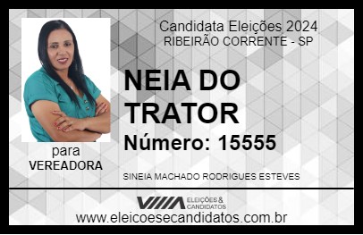 Candidato NEIA DO TRATOR 2024 - RIBEIRÃO CORRENTE - Eleições