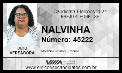 Candidato NALVINHA 2024 - BREJO ALEGRE - Eleições