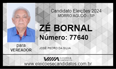 Candidato ZÉ BORNAL 2024 - MORRO AGUDO - Eleições