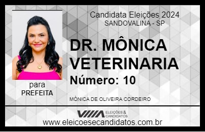 Candidato DR. MÔNICA VETERINARIA 2024 - SANDOVALINA - Eleições