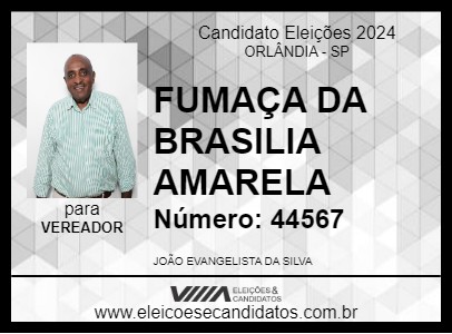 Candidato FUMAÇA DA BRASILIA AMARELA 2024 - ORLÂNDIA - Eleições